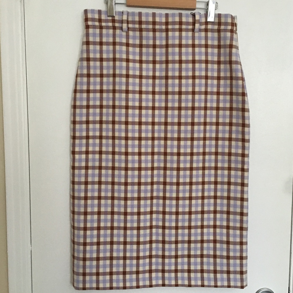 NWOT Zara Midi Skirt